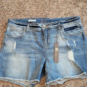 Kut from the Kloth Gidget shorts